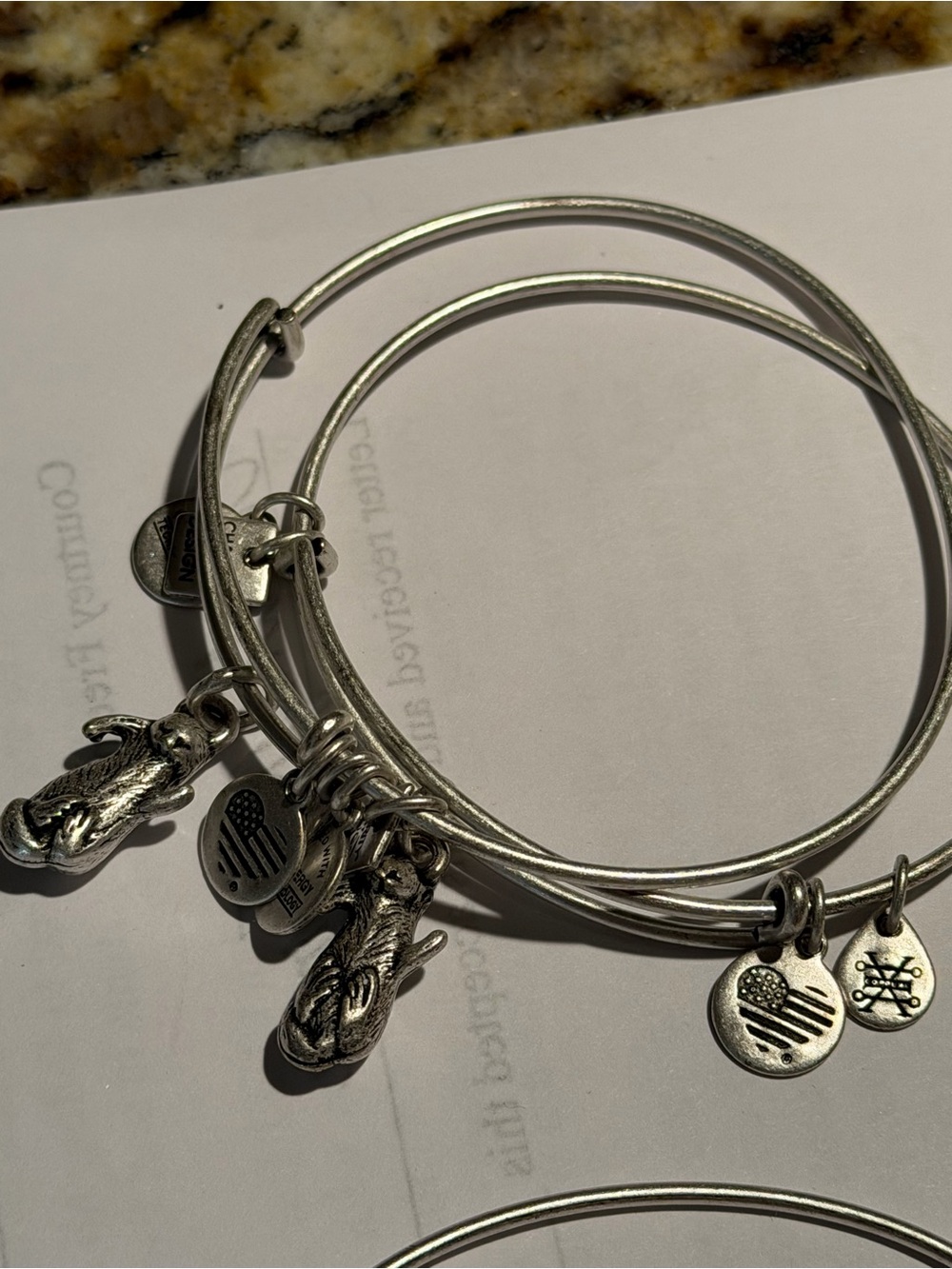 Two Silver-Tone Charm Otter Bangle Bracelet Set with Flag Discs